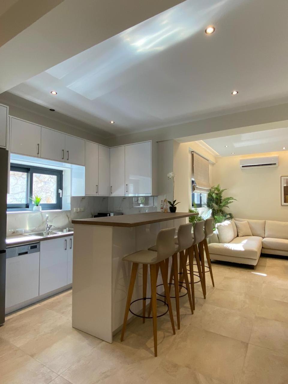 Ionian Stone Luxury Villa นิเกียนา ภายนอก รูปภาพ